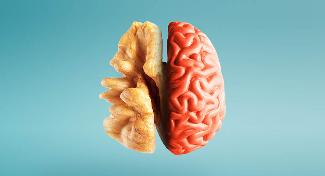 IMPACT Summer_Issue_Eating_Mental_Clarity Eating for Mental Clarity