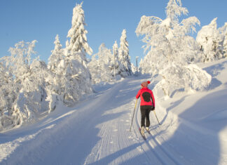Cross-country Skiing: The Complete Cardio Workout Cross-Country Skiing