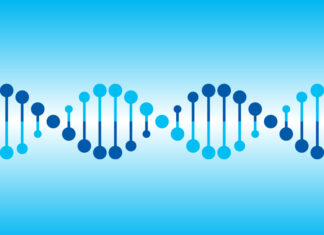 Reduce Your Cancer Risk Reduce Your Cancer Risk