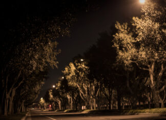 Running for Kieran Street at Night