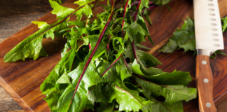 dandelions are nutritious. health benefits of dandelions